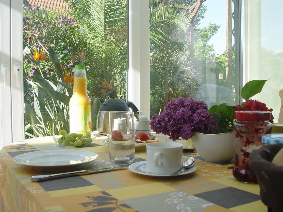 Privatzimmer Mit Aussicht Pirna Ngoại thất bức ảnh